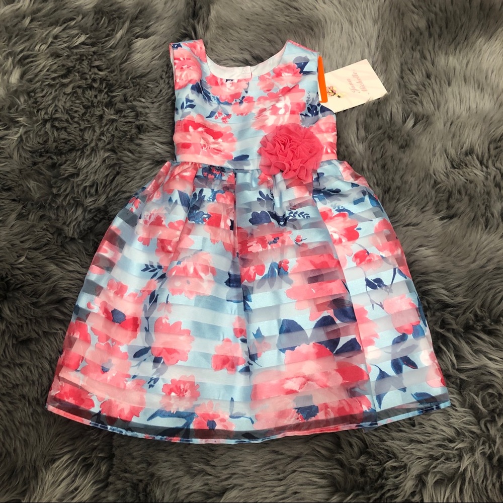 Jona Michelle | Girls Pink & Blue Floral Dress | Size 2
